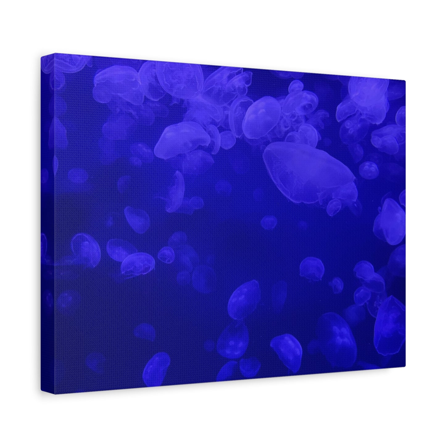 Jellyfish Watercolor Canvas Art - Ocean Theme Wall Decor