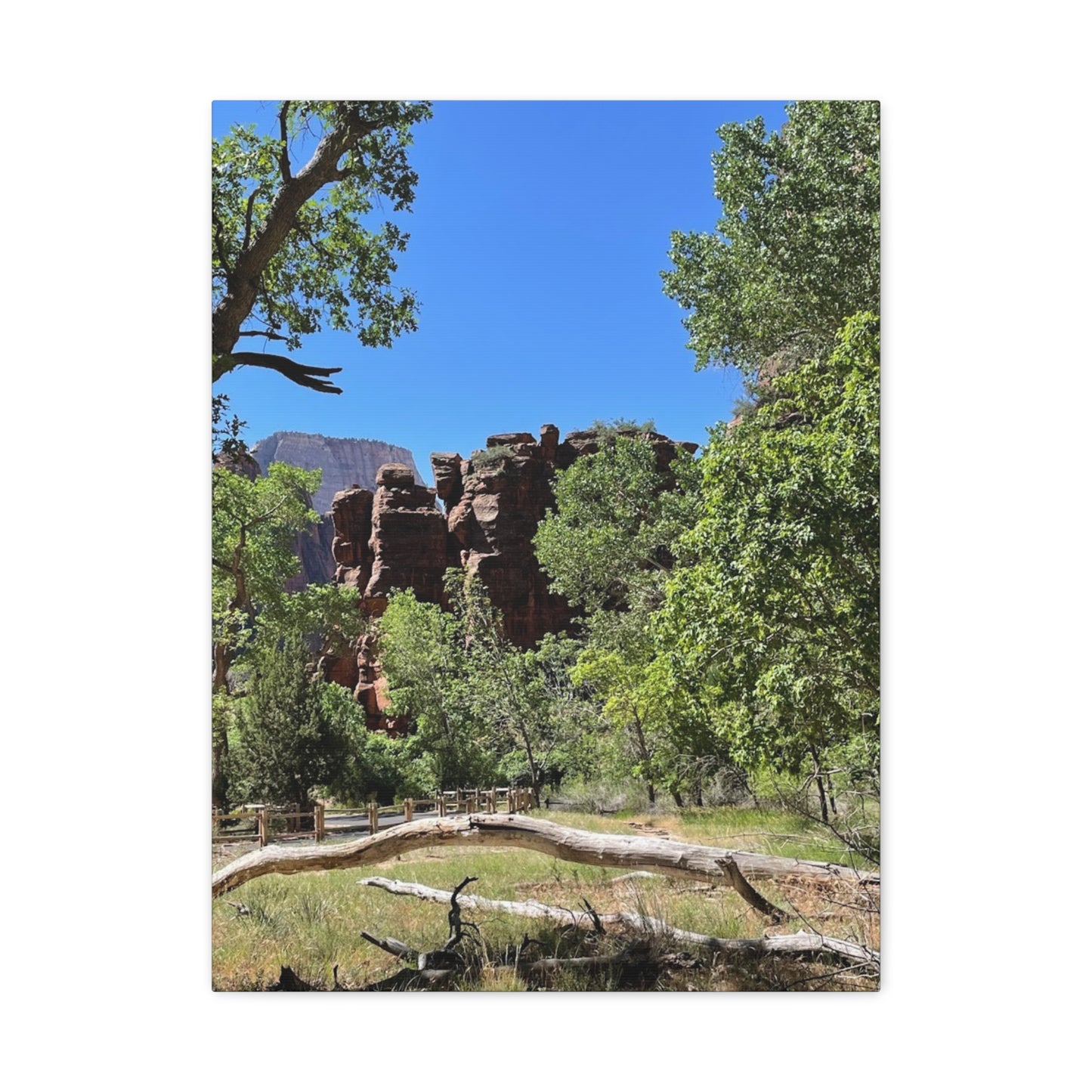 Stretched Canvas Art - Scenic Nature Landscape