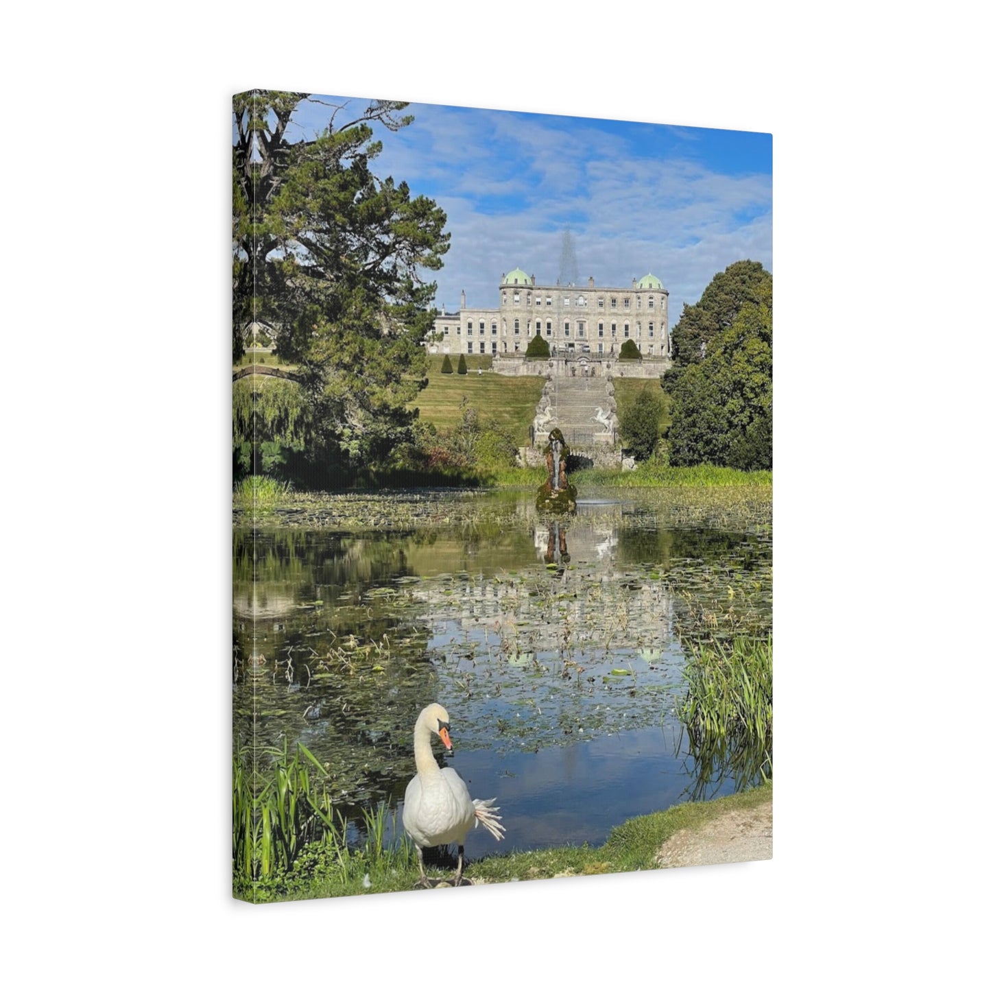 Stretched Matte Canvas Print - Serene Swan Reflection in Nature Powerscourt Estate, Wicklow Ireland