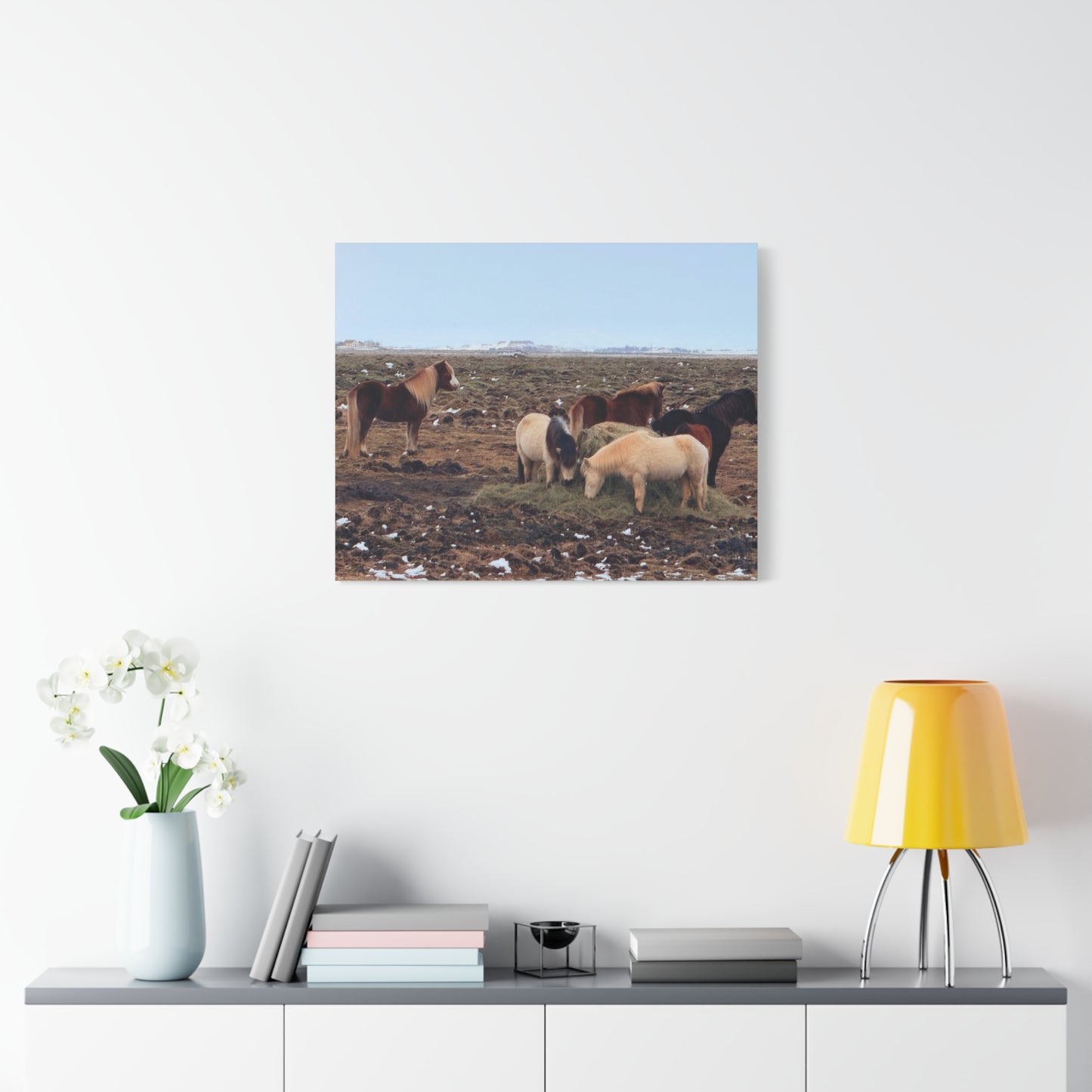 Icelandic Horse Canvas Art - Matte Stretched Print for Animal Lovers