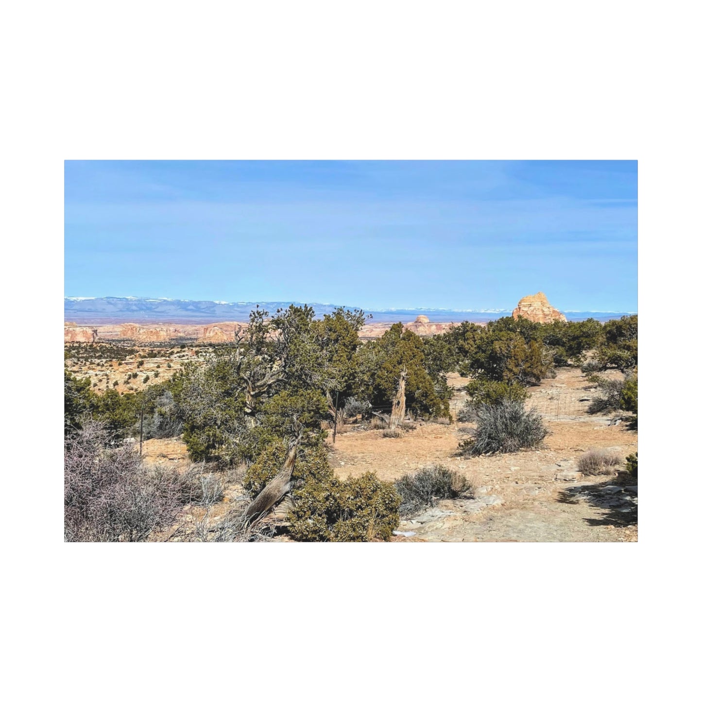 Desert Landscape Canvas Wall Art – 1.25" Matte Stretched Decor for Nature Lovers
