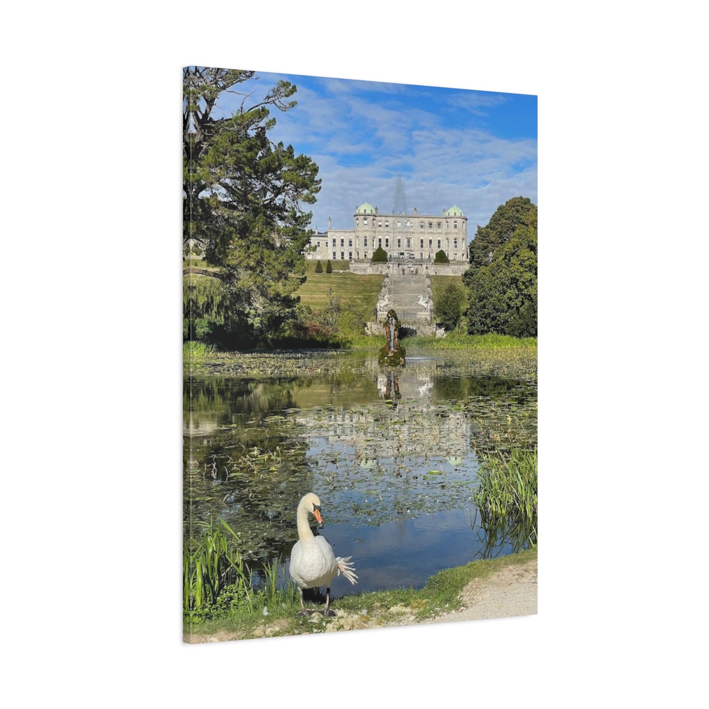 Stretched Matte Canvas Print - Serene Swan Reflection in Nature Powerscourt Estate, Wicklow Ireland