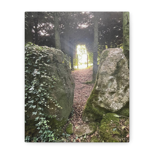 Serene Nature Wall Art Canvas – Tranquil Forest Scene for Home Decor
