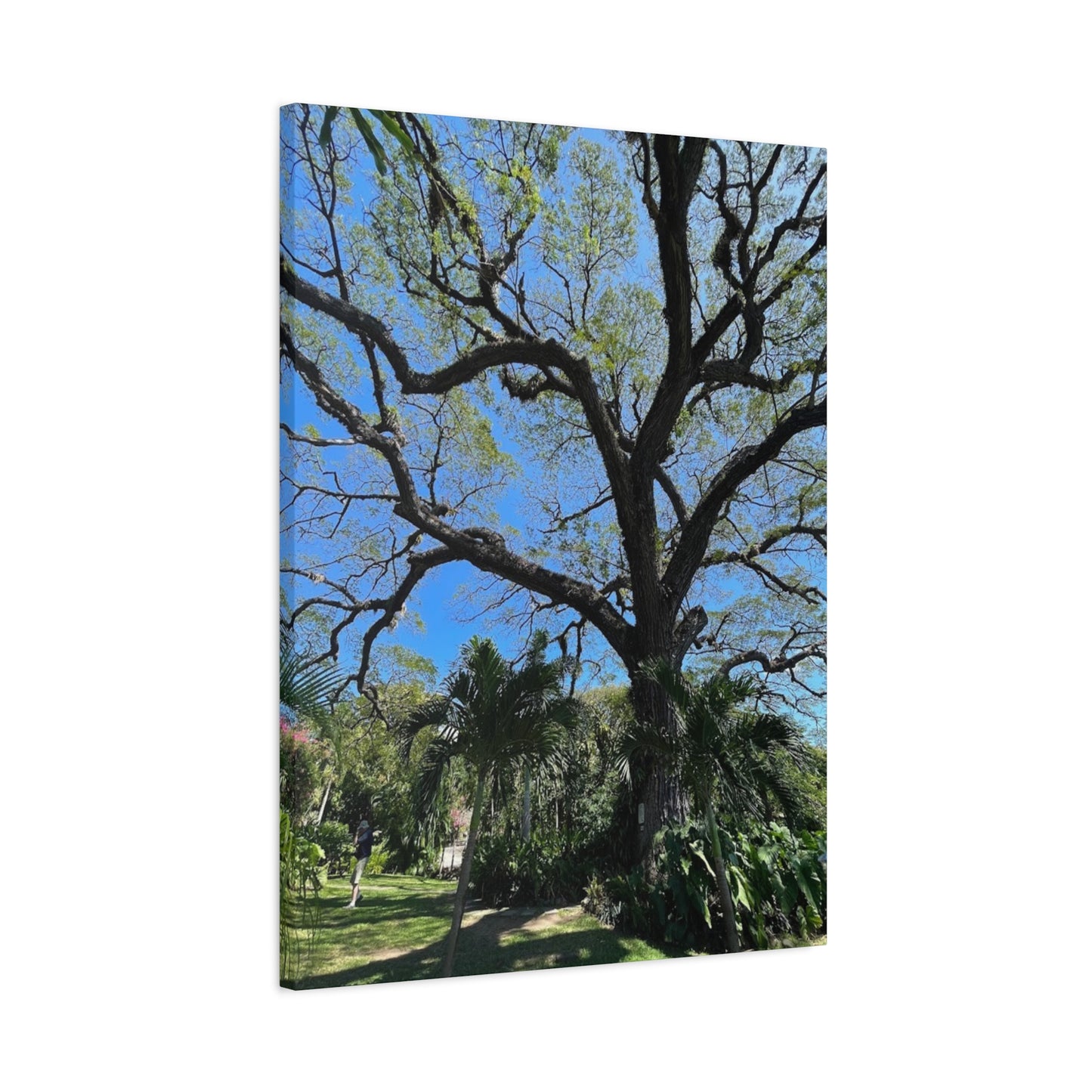 Nature-Inspired Stretched Canvas Art - Large Tree Print