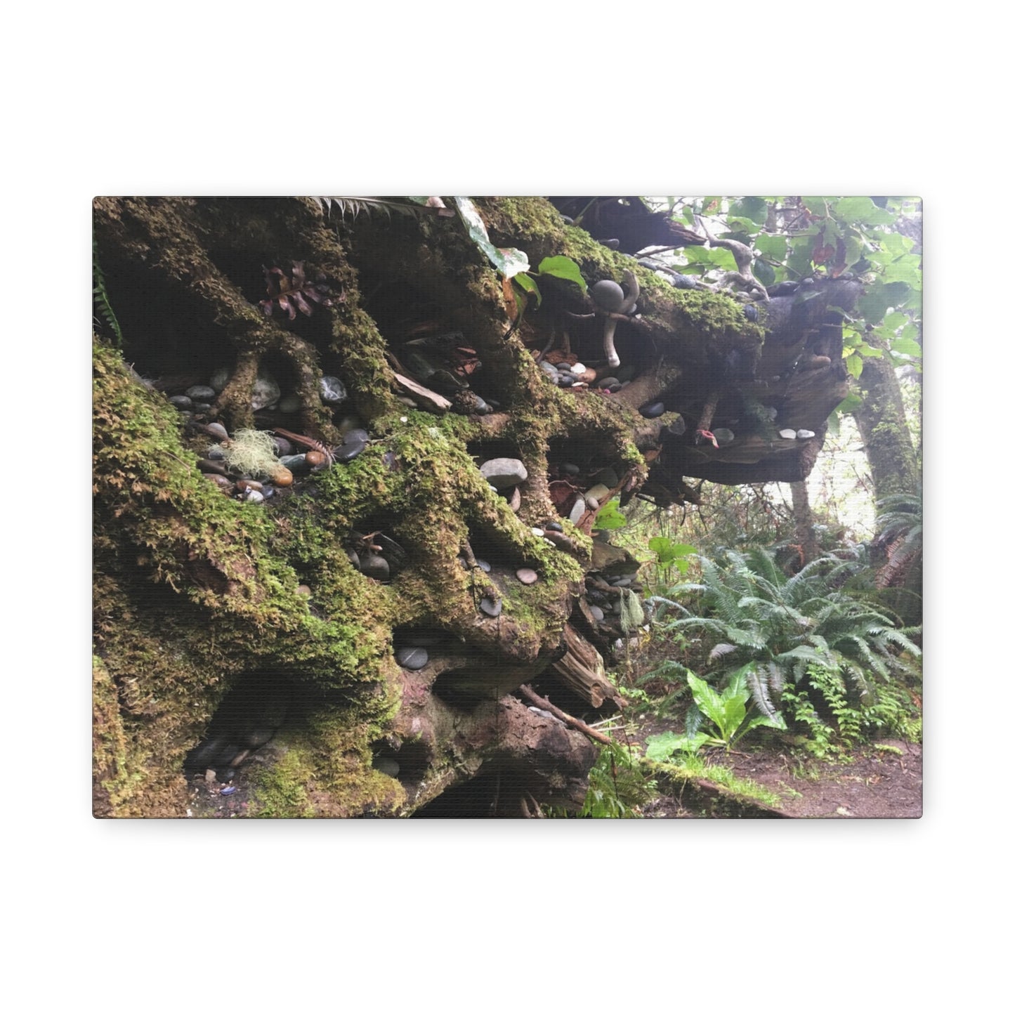 Nature-Inspired Stretched Canvas Art: Enchanted Forest Vibes