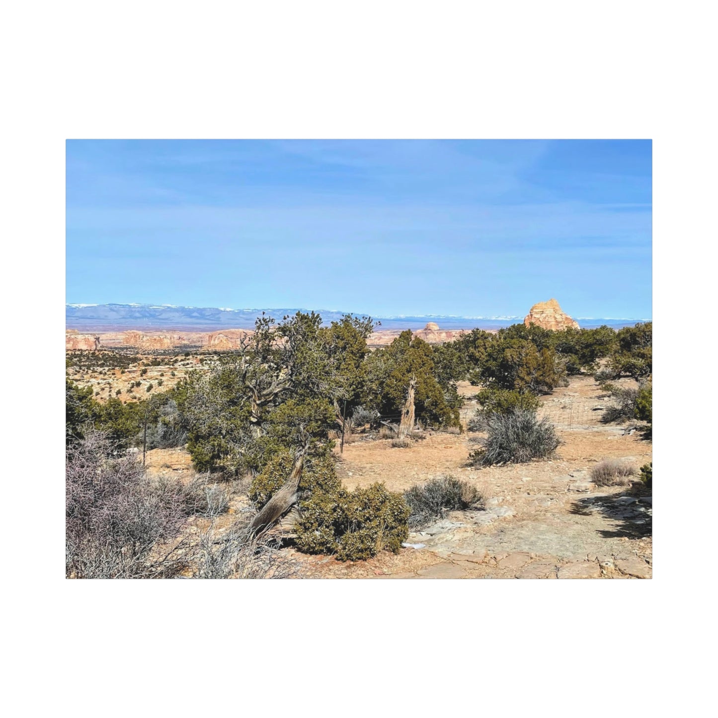 Desert Landscape Canvas Wall Art – 1.25" Matte Stretched Decor for Nature Lovers