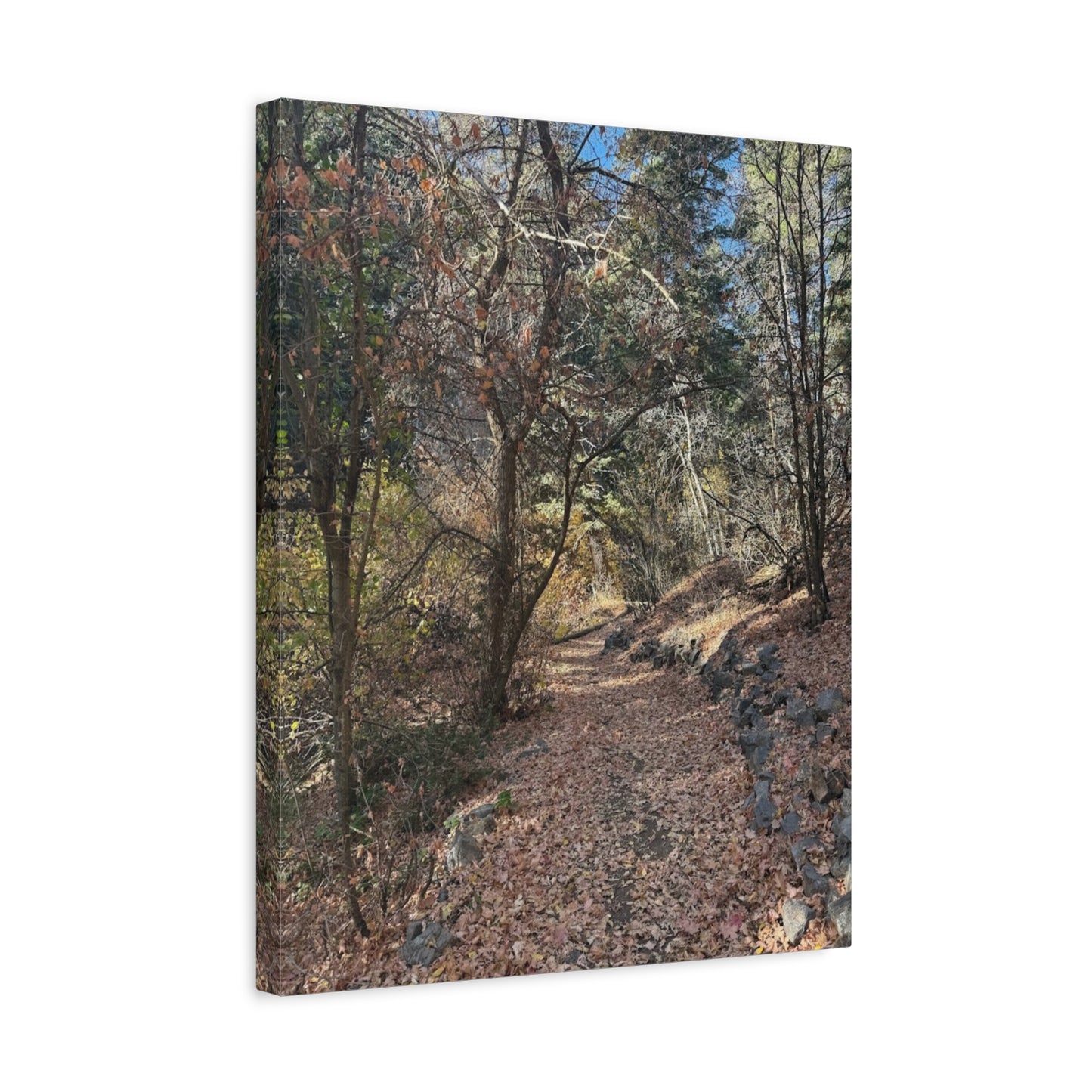 Nature-Inspired Matte Canvas Art - Stretched Wall Decor