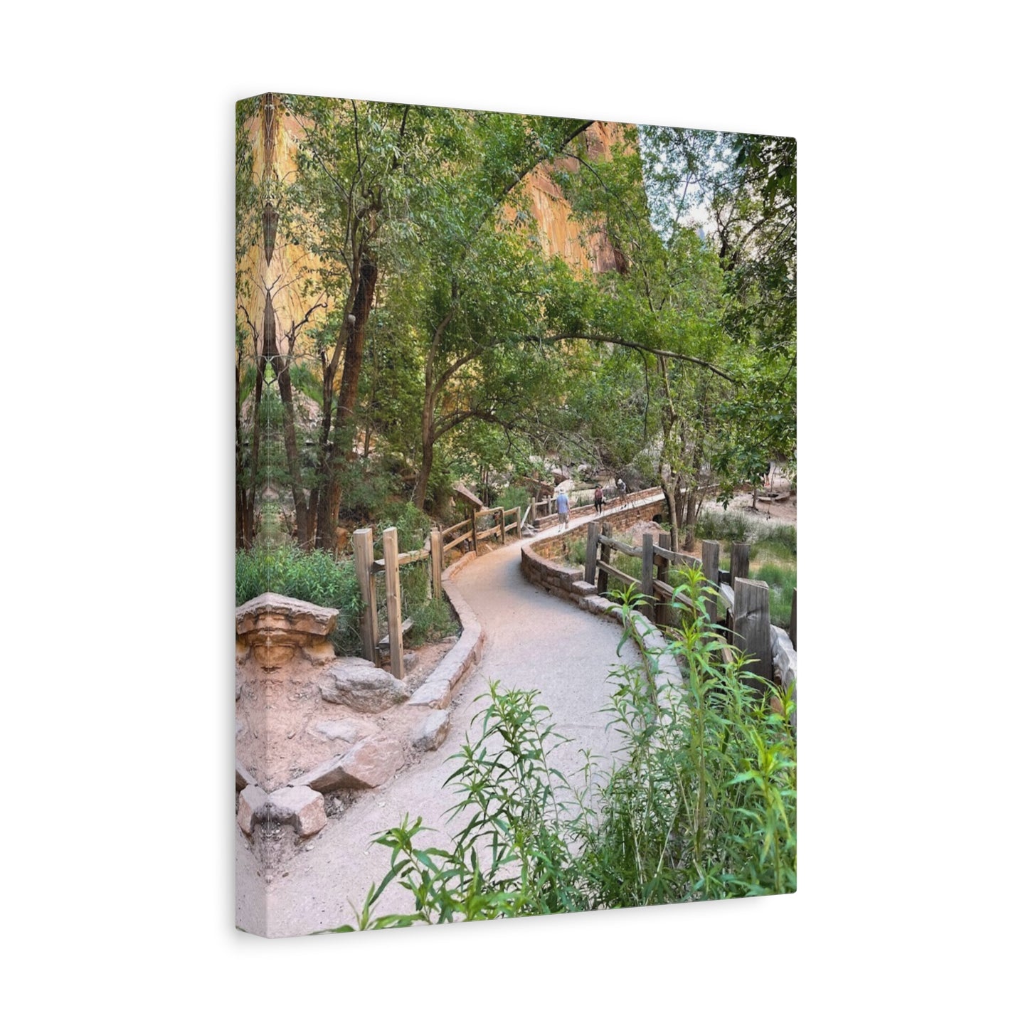 Nature Path Matte Canvas Wall Art - Scenic Landscape Decor