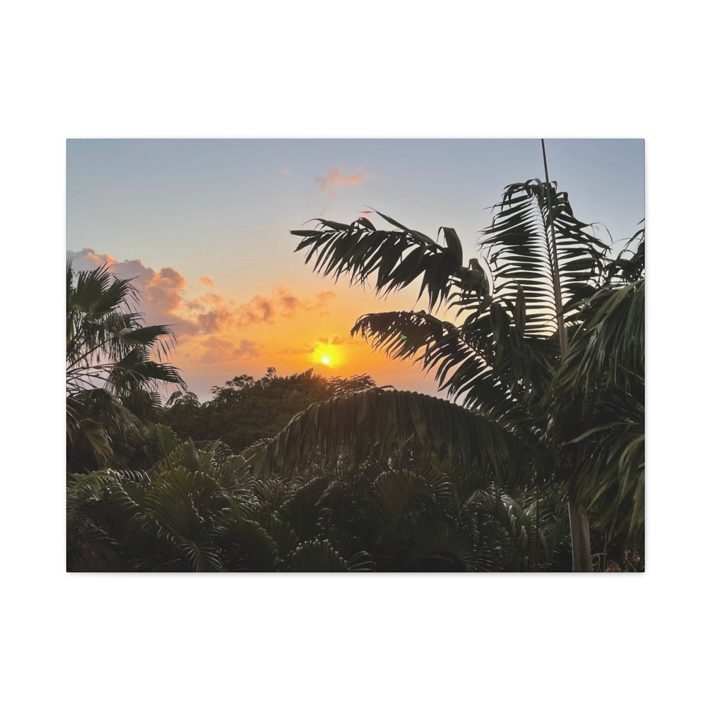 Tropical Sunset Matte Canvas - 12x16 Stretched Wall Art