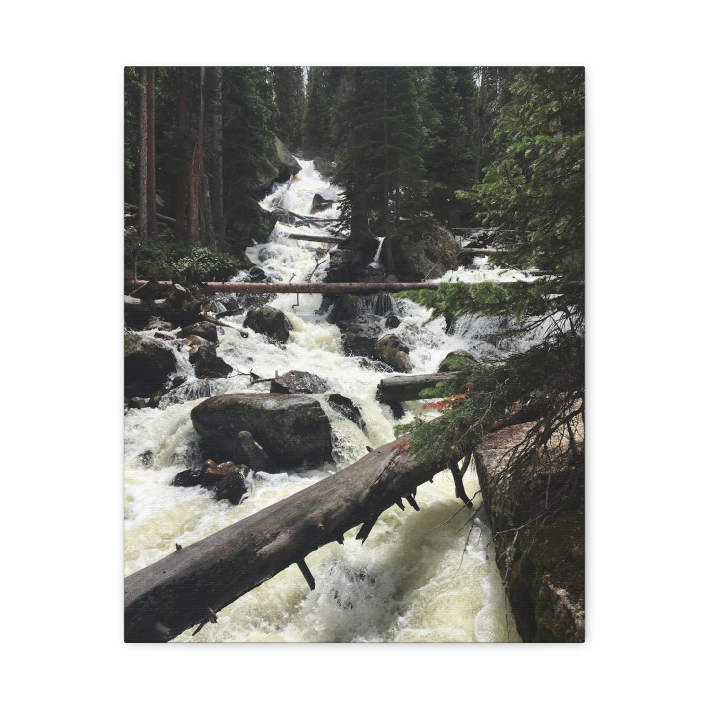 Nature Waterfall Canvas Art - Stretched Matte Wall Decor