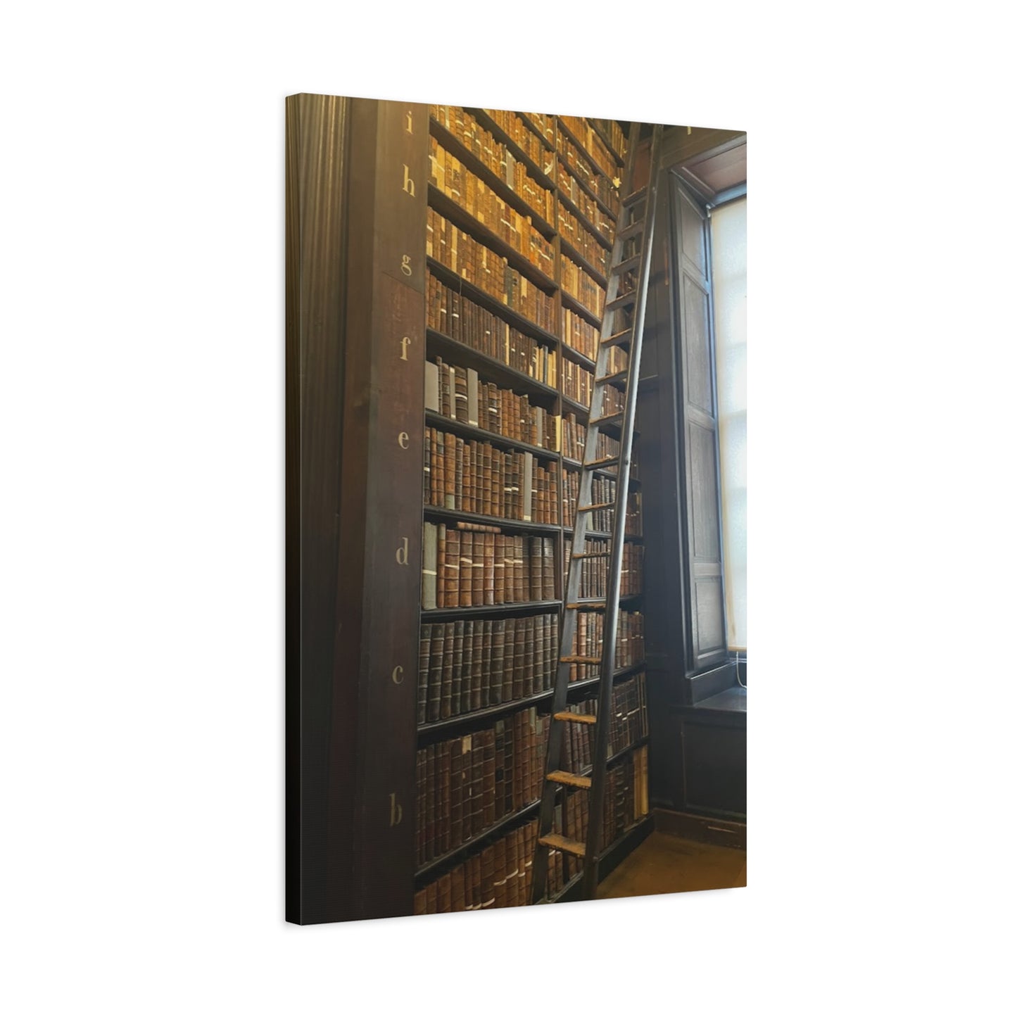 Library Wall Art | Vintage Bookcase Canvas Print - Trinity College Long Room