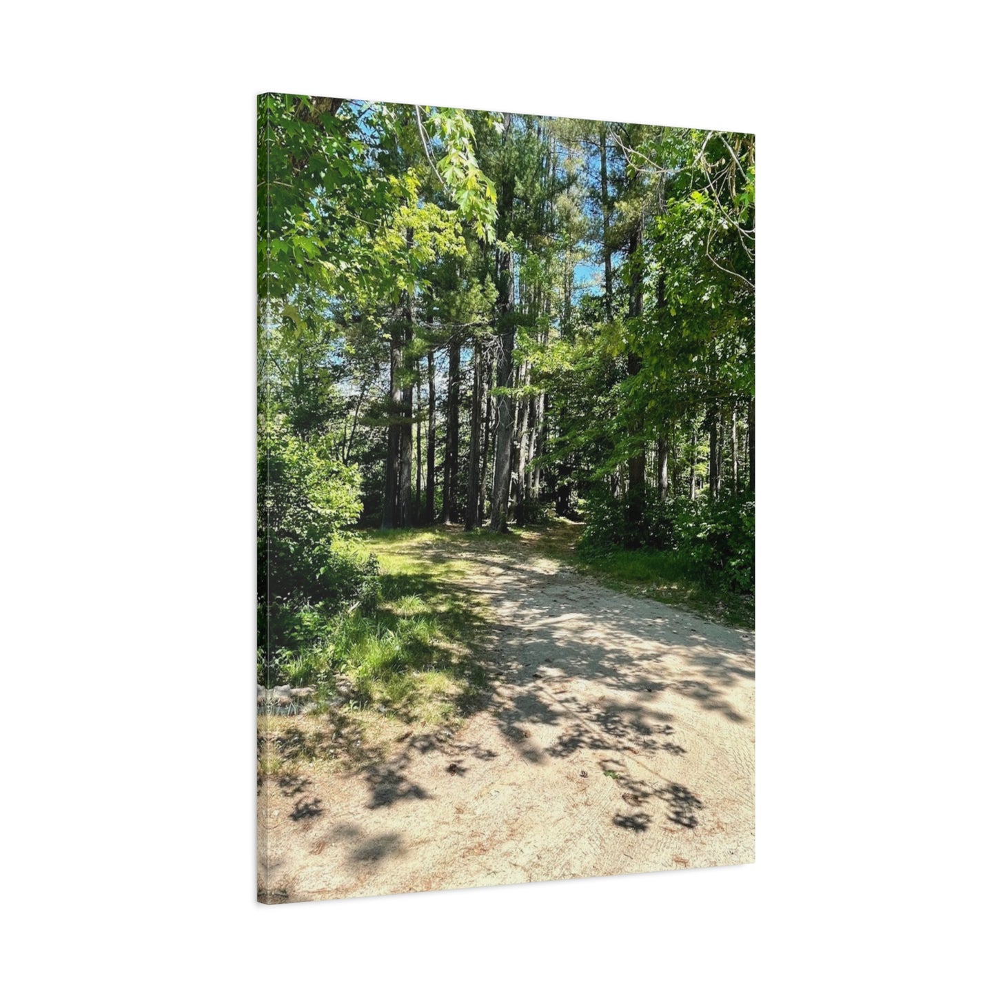 Serene Forest Path Canvas Wall Art - Tranquil Nature Decor for Home
