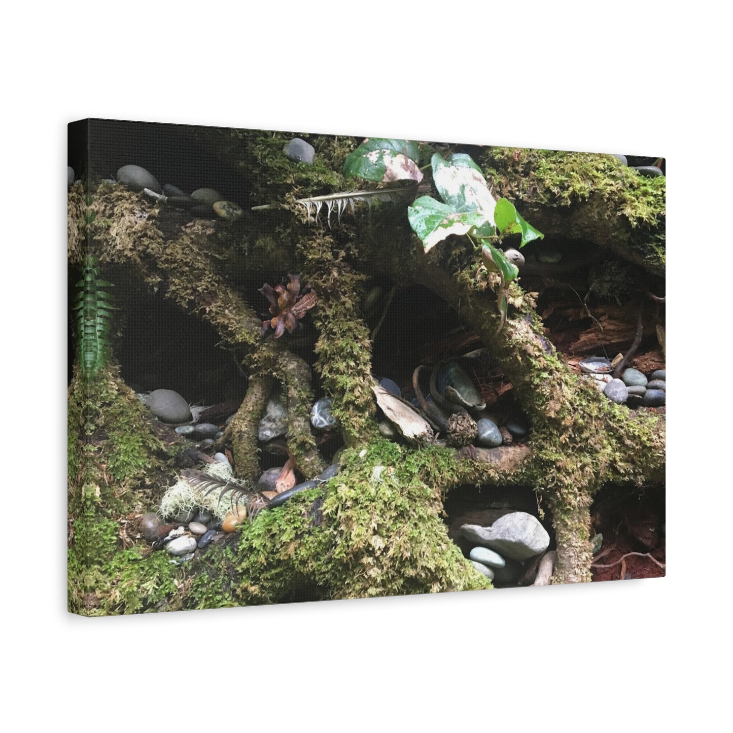Nature-Inspired Matte Canvas Wall Art - Serene Root and Stone Design