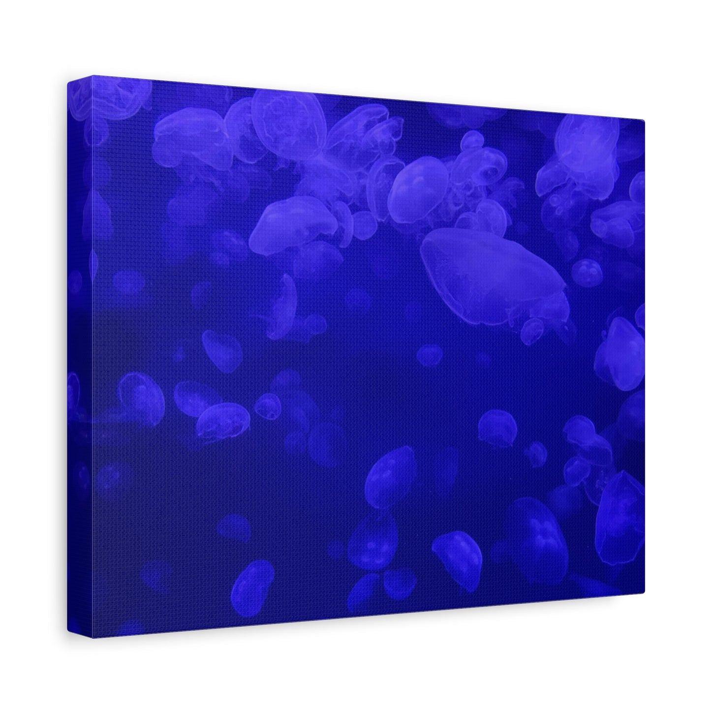 Jellyfish Watercolor Canvas Art - Ocean Theme Wall Decor