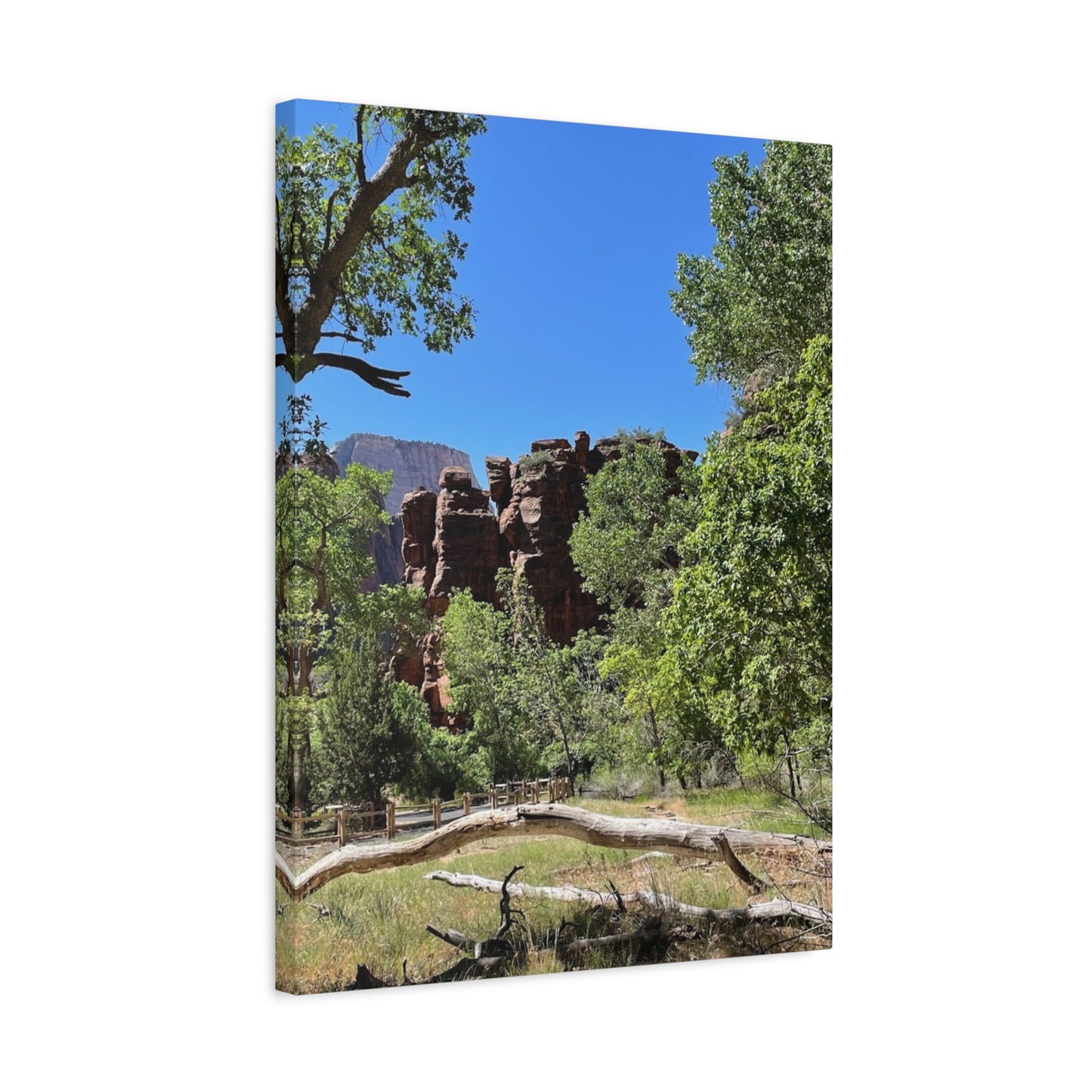 Stretched Canvas Art - Scenic Nature Landscape