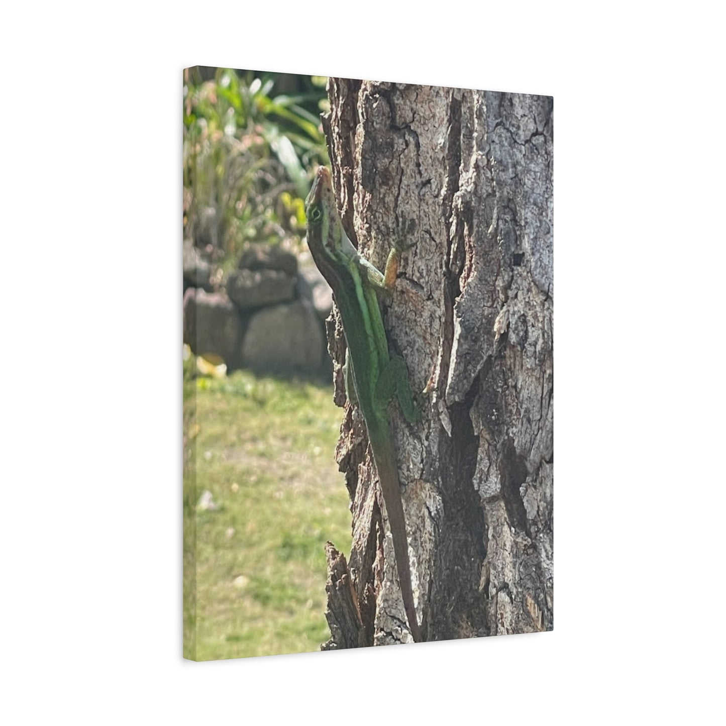 Nature-Inspired Stretched Canvas Art featuring Green Lizard on Tree