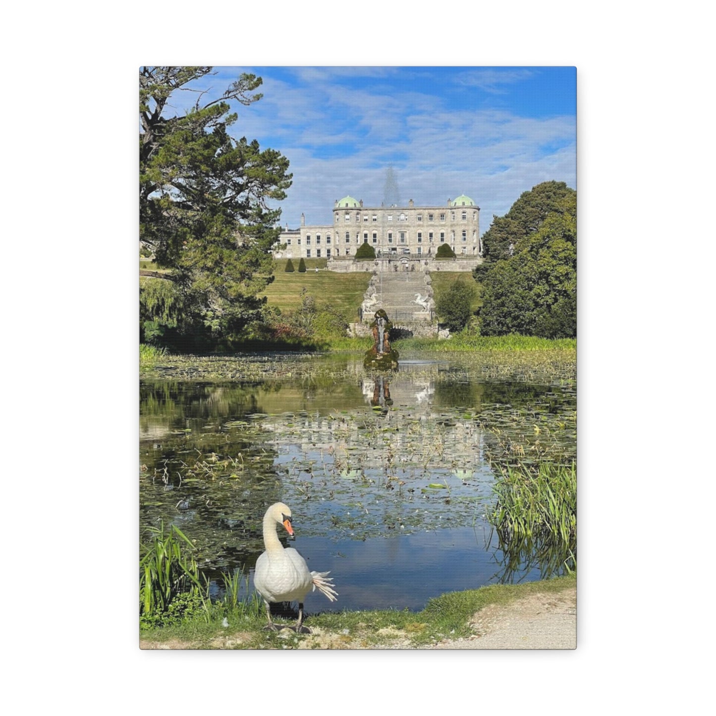 Stretched Matte Canvas Print - Serene Swan Reflection in Nature Powerscourt Estate, Wicklow Ireland