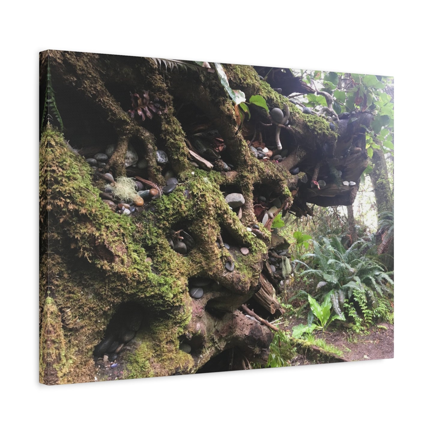 Nature-Inspired Stretched Canvas Art: Enchanted Forest Vibes