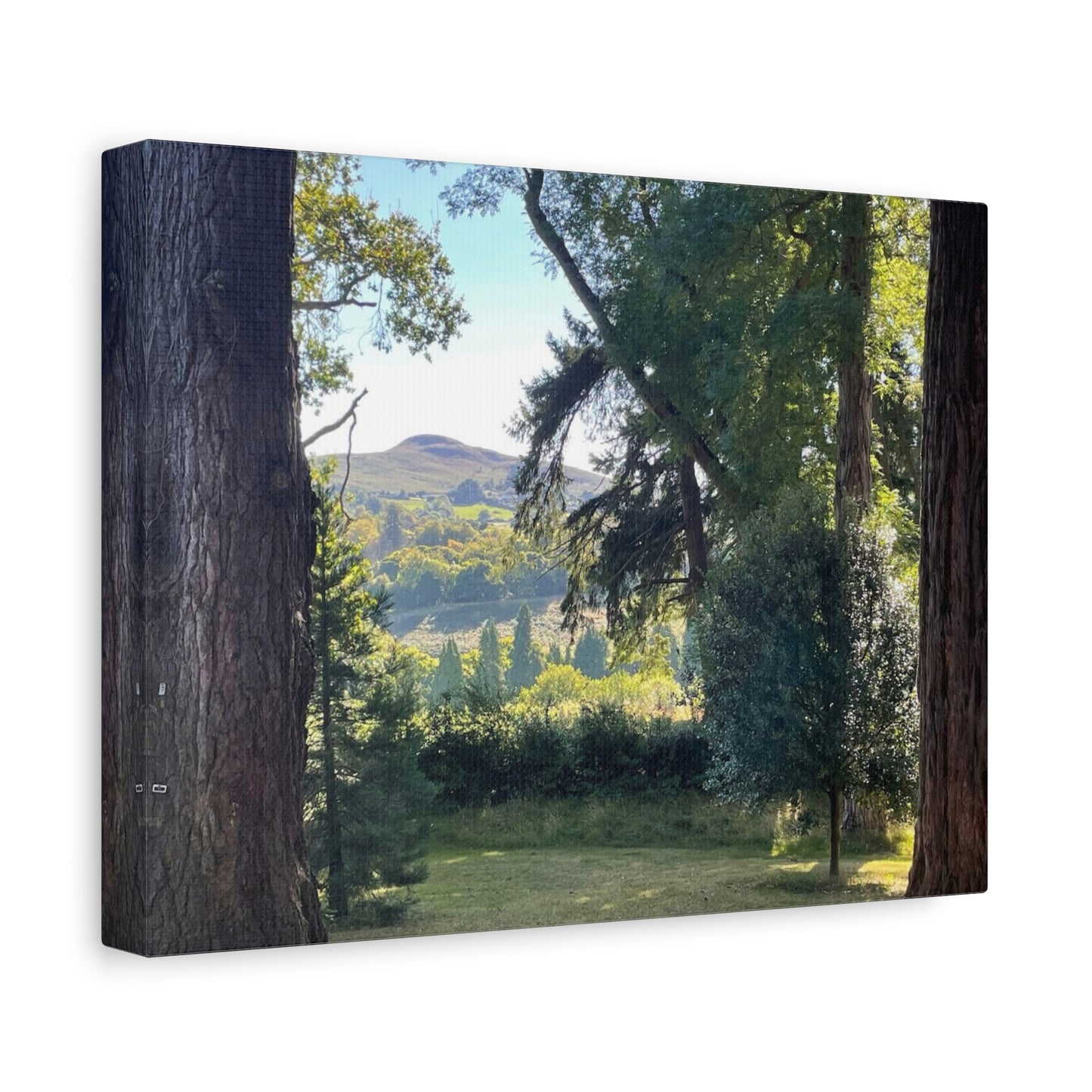Nature-Inspired Matte Canvas Wall Art - Scenic Landscape Decor