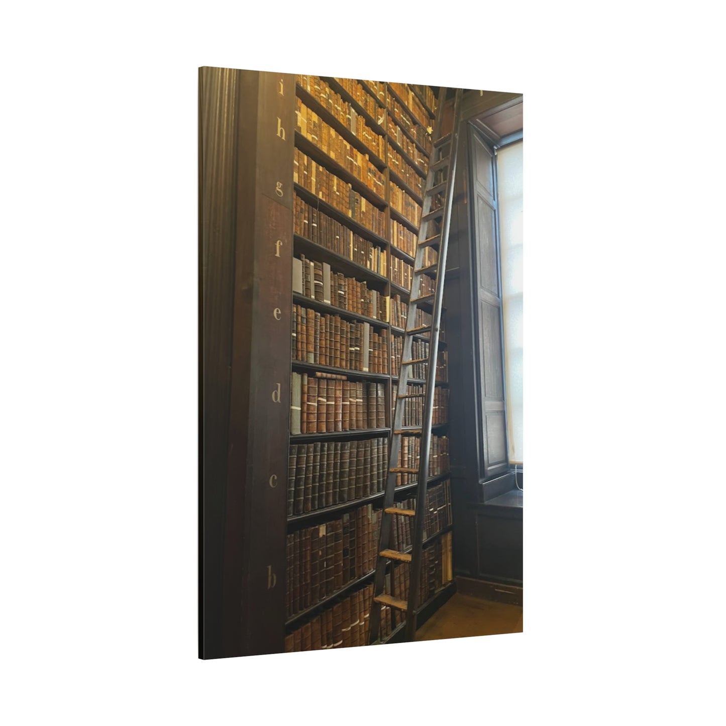 Library Wall Art | Vintage Bookcase Canvas Print - Trinity College Long Room
