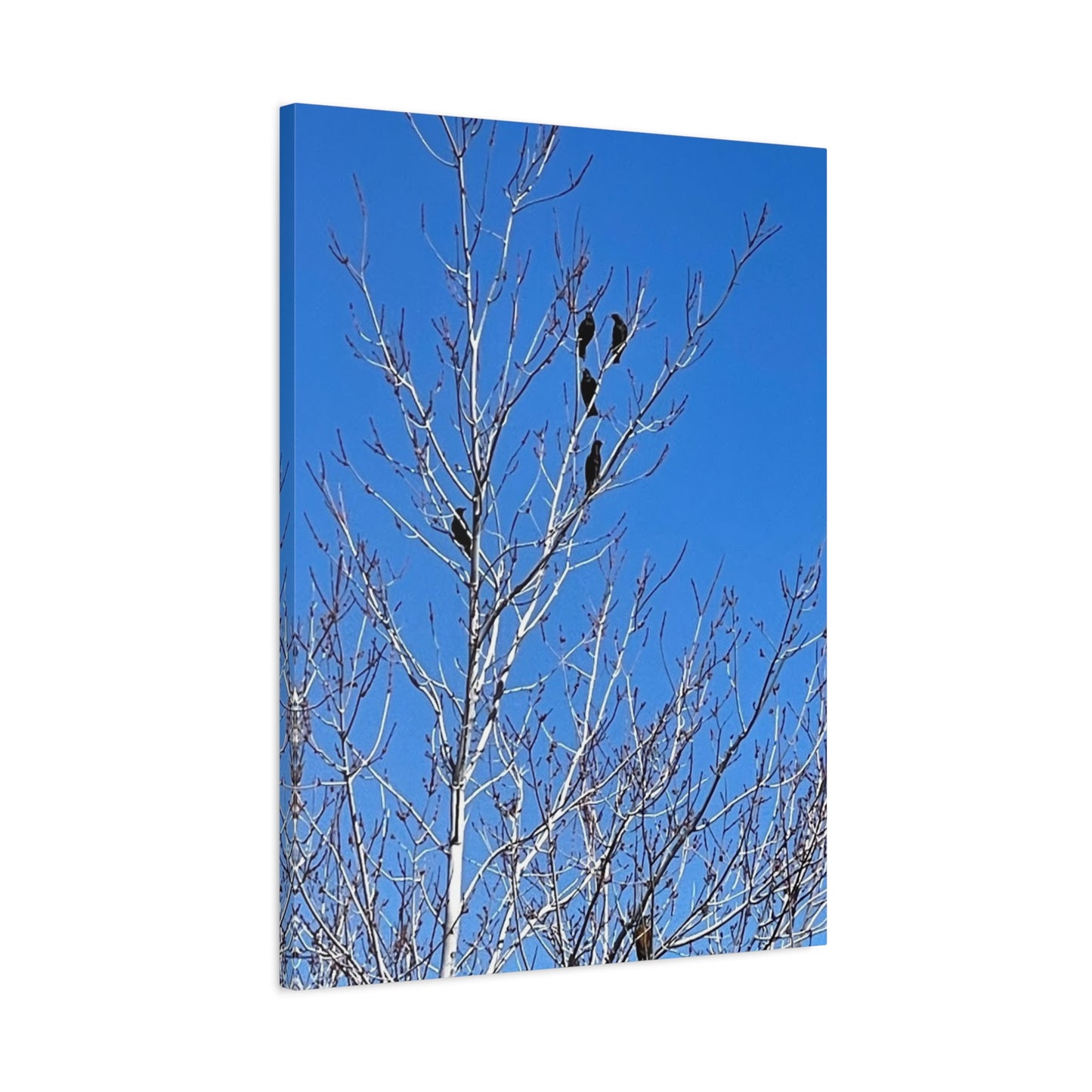 Serene Bird Canvas Wall Art - Tranquil Nature Decor for Home and Office