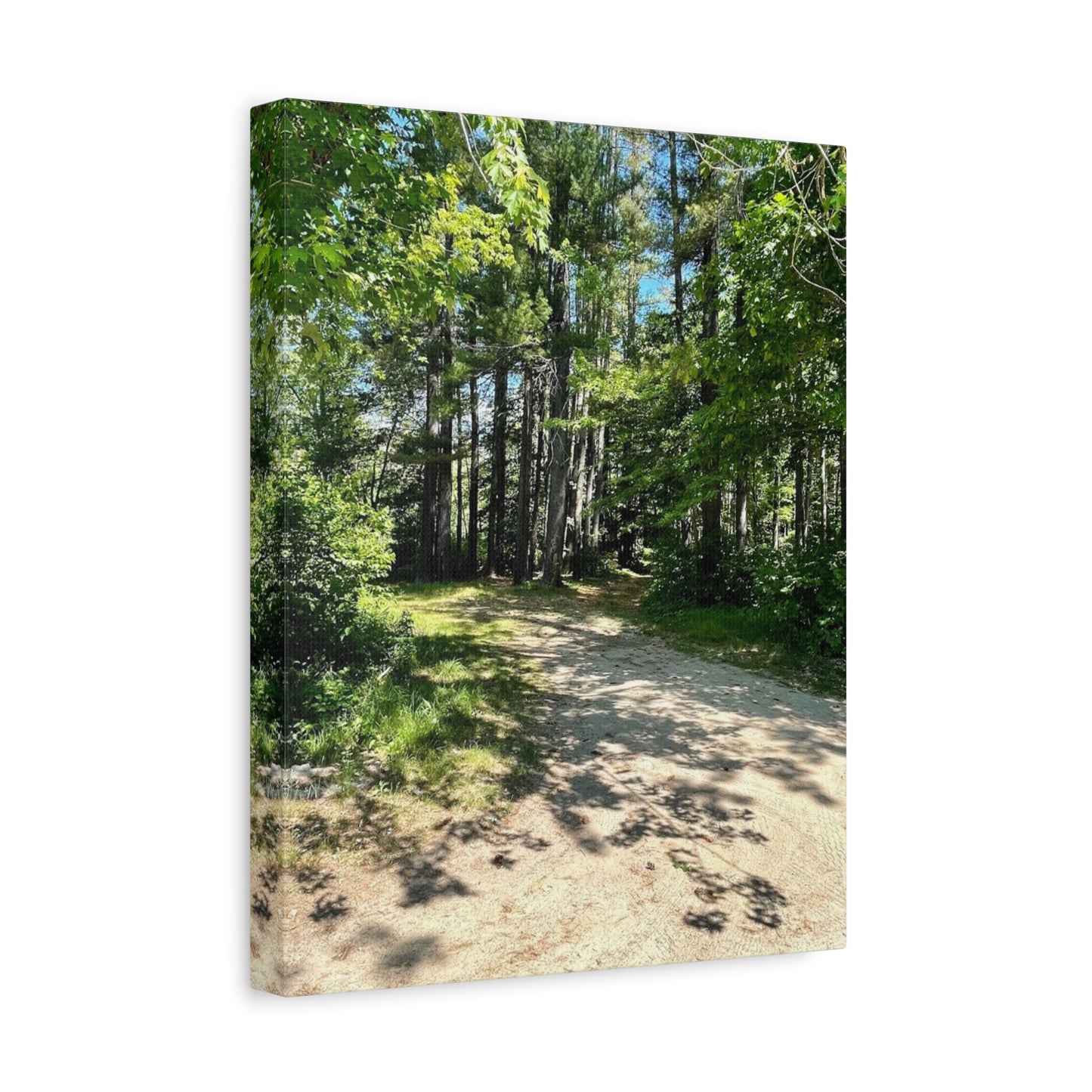 Serene Forest Path Canvas Wall Art - Tranquil Nature Decor for Home