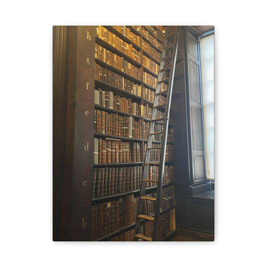 Library Wall Art | Vintage Bookcase Canvas Print - Trinity College Long Room