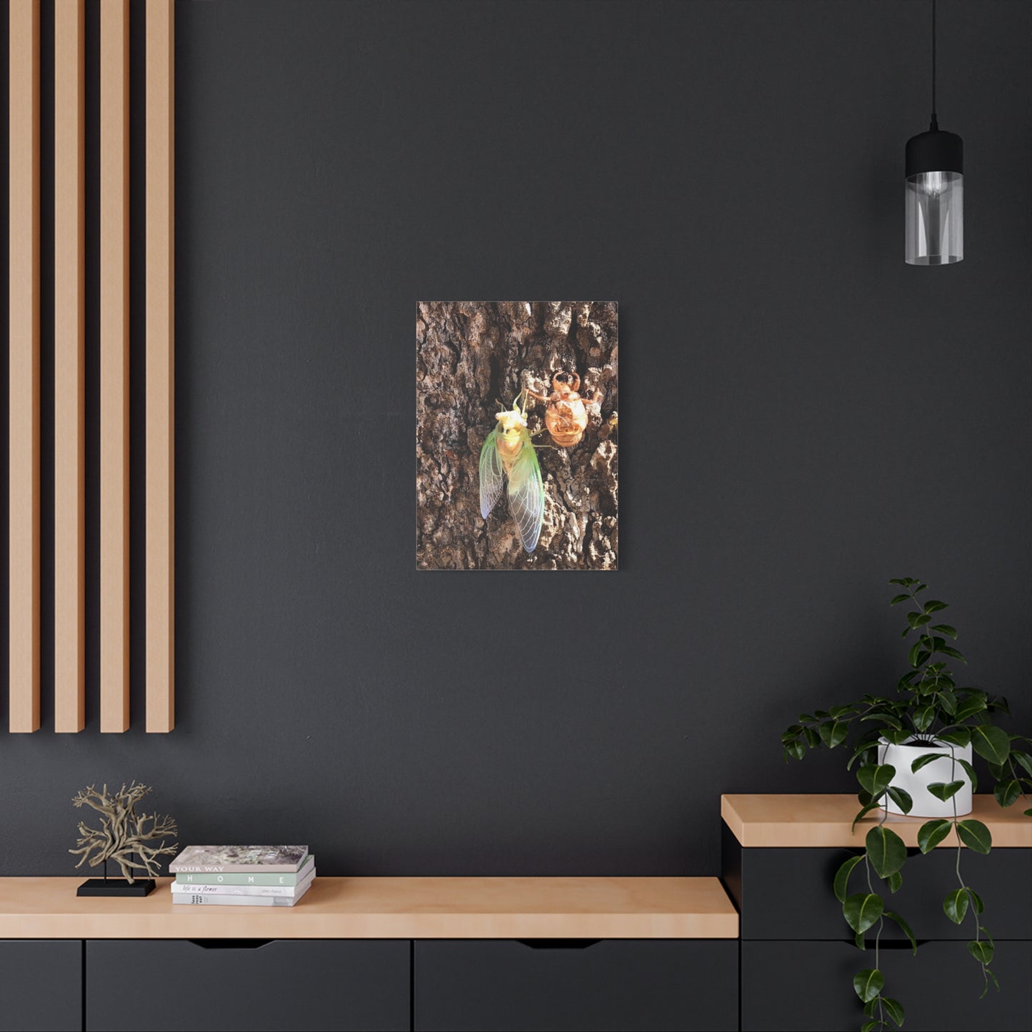 Nature-Inspired Wall Art: Cicada Lifecycle Canvas Print